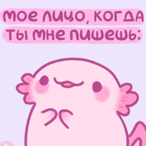💗 Стикер «Котики&;Мяв» для Telegram