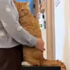 Стикер 55 Мяу Мяу