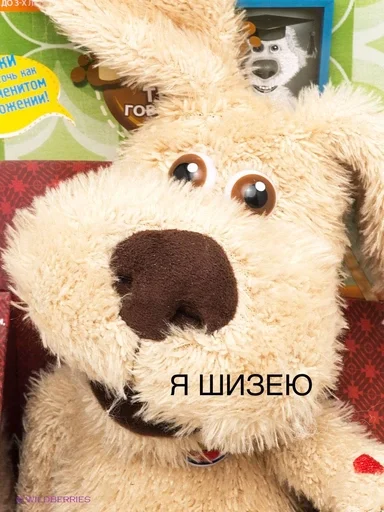 🐶 Стикер «Talking Tom and Friends» для Telegram