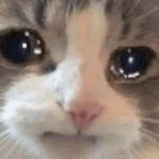 😔 Стикер «Daily mood pack» для Telegram