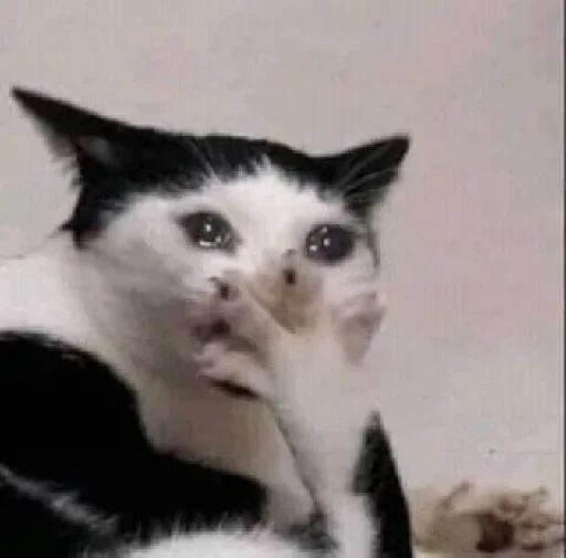 😭 Стикер «Daily mood pack» для Telegram