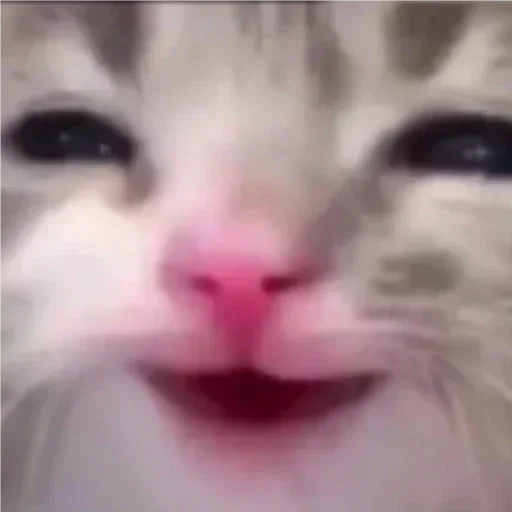 😏 Стикер «Daily mood pack» для Telegram