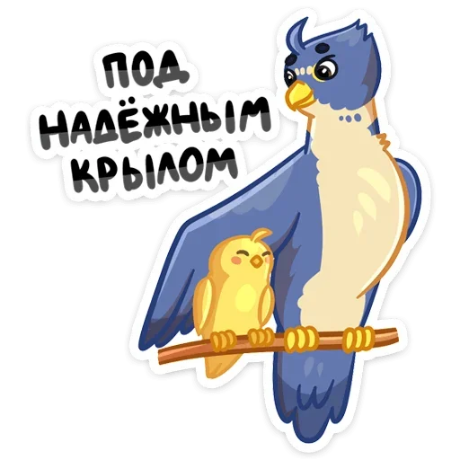 Обложка пака