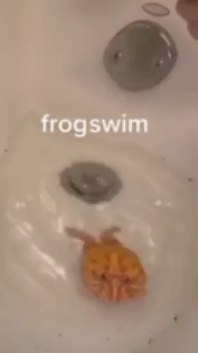 🛀 Стикер «Frogggs» для Telegram