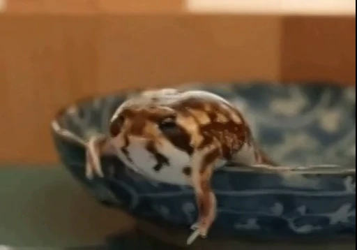 😊 Стикер «Frogggs» для Telegram