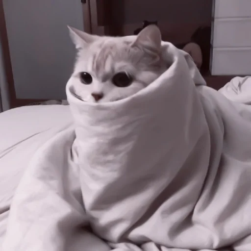 🥠 Стикер «や ??????? ? ;» для Telegram