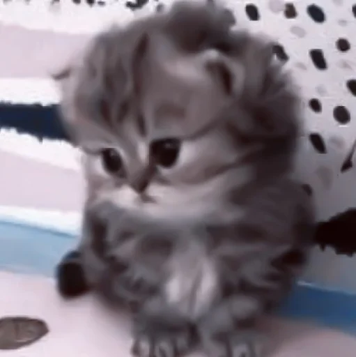 🥠 Стикер «や ??????? ? ;» для Telegram