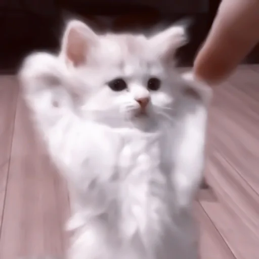 🥠 Стикер «や ??????? ? ;» для Telegram