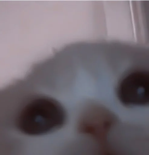🥠 Стикер «や ??????? ? ;» для Telegram