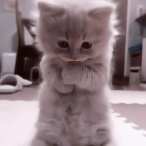 🥠 Стикер «や ??????? ? ;» для Telegram