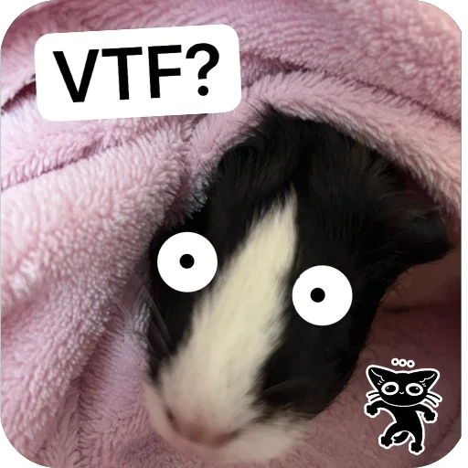 😨 Стикер «Guinea Pig» для Telegram
