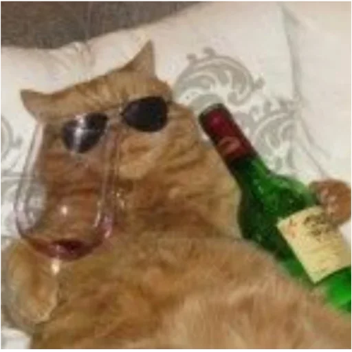 🤩 Стикер «my idiotics cat» для Telegram