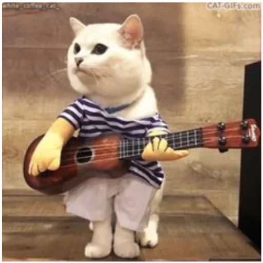 😝 Стикер «my idiotics cat» для Telegram