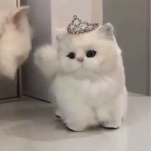 💖 Стикер «my kittes» для Telegram