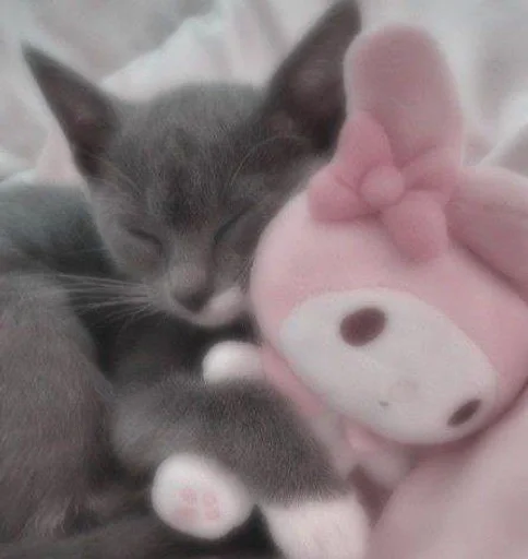 Стикерпак my kittes для Telegram