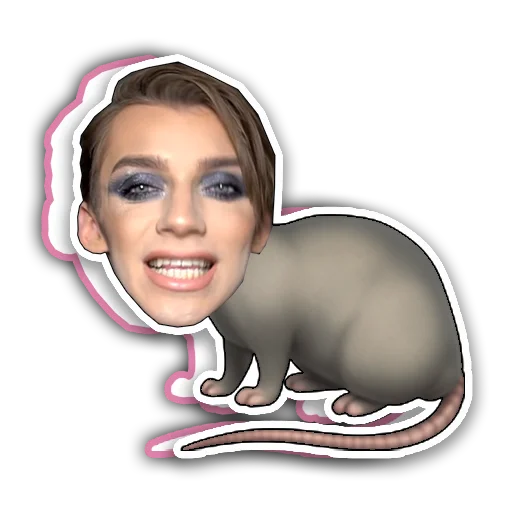 🐭 Стикер «да я крыса» для Telegram