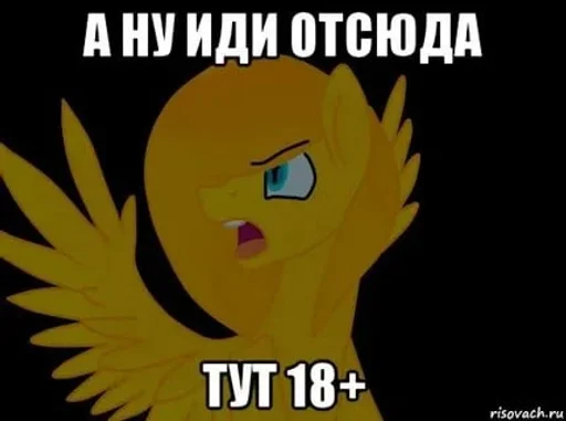 🌟 Стикер «My Little Meme» для Telegram