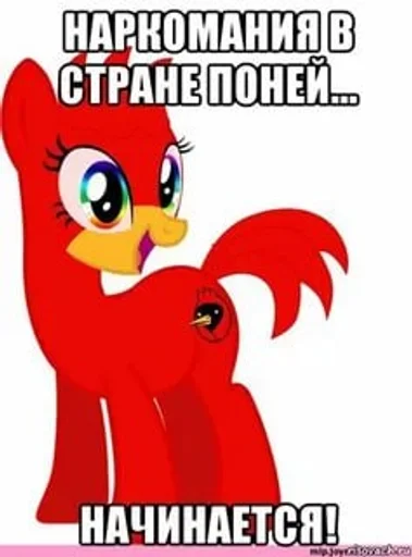 🌟 Стикер «My Little Meme» для Telegram
