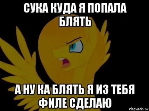 🌟 Стикер «My Little Meme» для Telegram