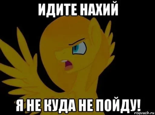🌟 Стикер «My Little Meme» для Telegram