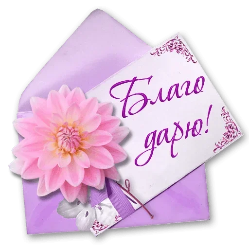 🌹 Стикер «Любимые» для Telegram