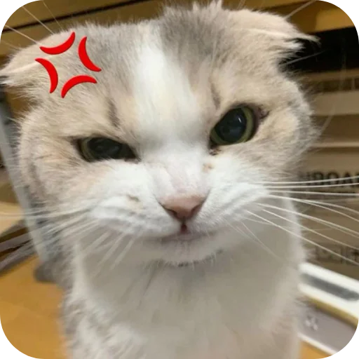 🐱 Стикер «My Mood» для Telegram