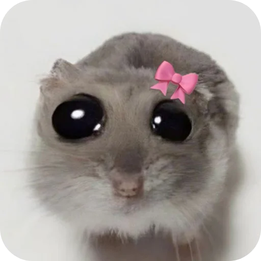 🐱 Стикер «My Mood» для Telegram