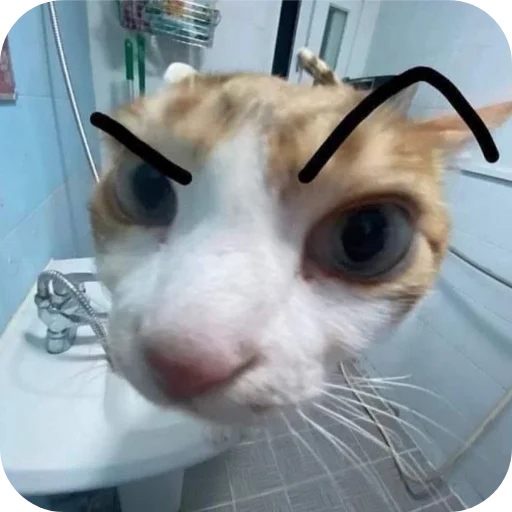 🐱 Стикер «My Mood» для Telegram