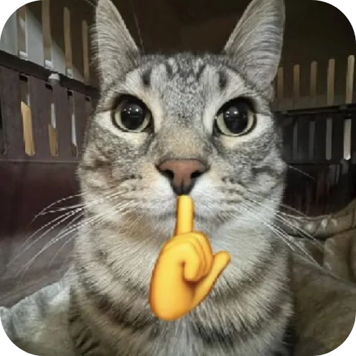 🐱 Стикер «My Mood» для Telegram