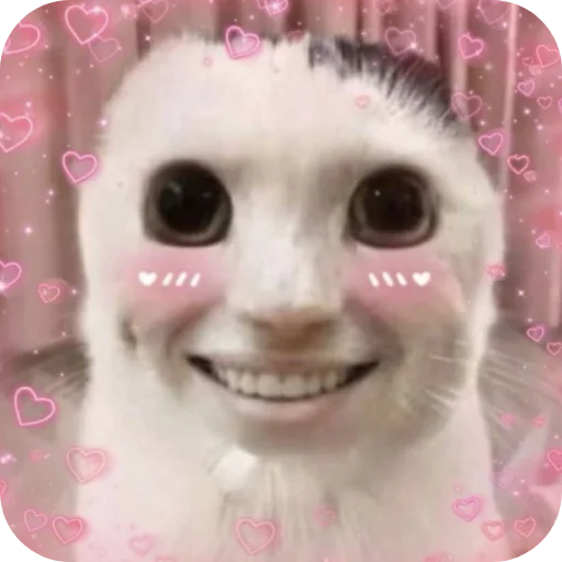 🤲 Стикер «My Mood» для Telegram