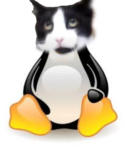 🐧 Стикер «Мурчикостикеры» для Telegram