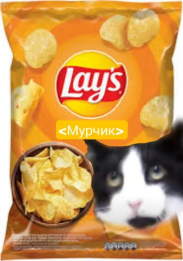 🤩 Стикер «Мурчикостикеры» для Telegram