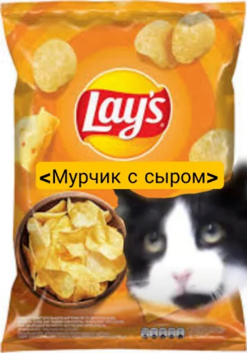 😘 Стикер «Мурчикостикеры» для Telegram