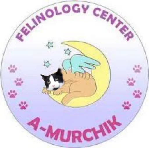 🐈 Стикер «Мурчикостикеры» для Telegram