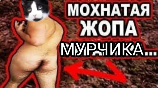 😁 Стикер «Мурчикостикеры» для Telegram