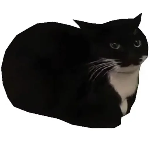 🐈‍⬛ Стикер «Мурлыки» для Telegram