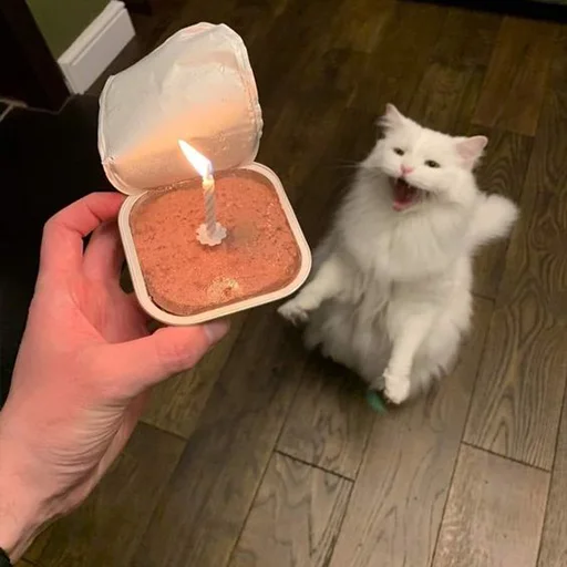 🎂 Стикер «Мурлыки» для Telegram