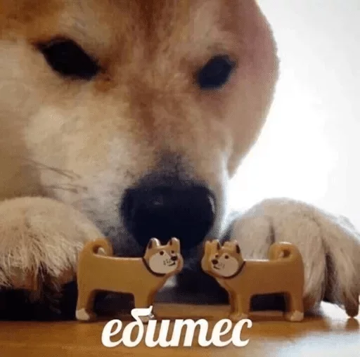 🌚 Стикер «Мои скиторы» для Telegram