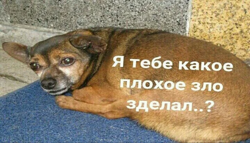 😔 Стикер «Мои скиторы» для Telegram