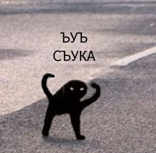 😡 Стикер «Мои скиторы» для Telegram
