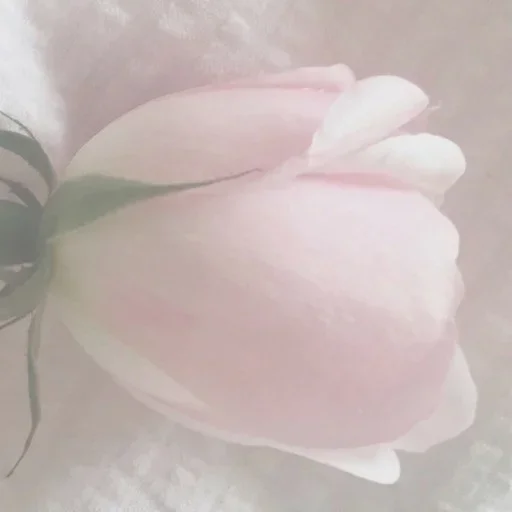 ☁️ Стикер «my soul in winter» для Telegram