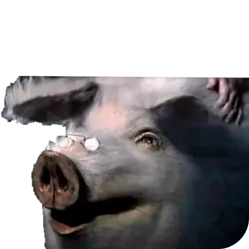 🐷 Стикер «Русские сказки» для Telegram