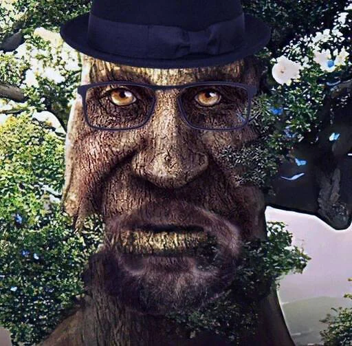 🎩 Стикер «mystical tree» для Telegram