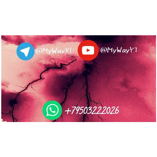 🆔 Стикер «3 дичь» для Telegram