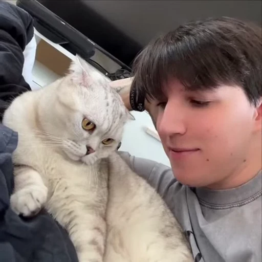 🤩 Стикер «ауаыаэыа» для Telegram