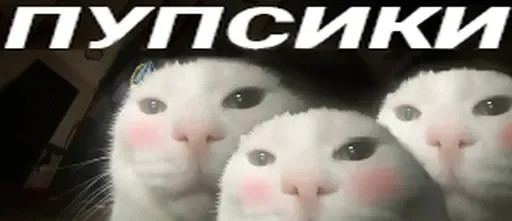 😍 Стикер «твич приколы» для Telegram
