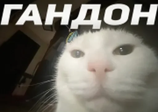 😘 Стикер «твич приколы» для Telegram