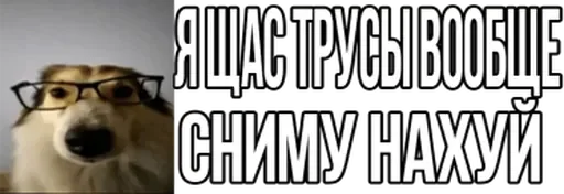 😤 Стикер «твич приколы» для Telegram
