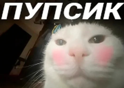 😍 Стикер «твич приколы» для Telegram