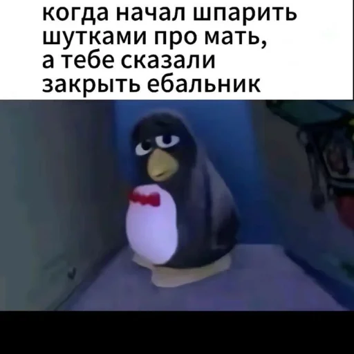 🤩 Стикер «на все случаи жизни» для Telegram